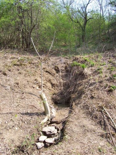 Studánka na Popovsku - 19.3.2005